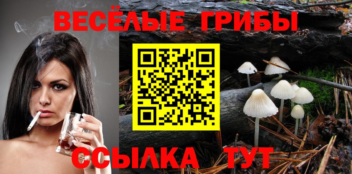 Галлюциногенные грибы мицелий  Вход с VPN  Красноуфимск  Псилоцибиновые грибы мицелий 